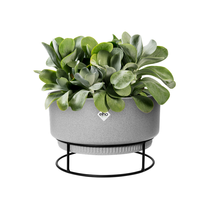 b.for studio schale 30cm living beton